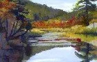 Diane E. Leifheit - Point of View Studio