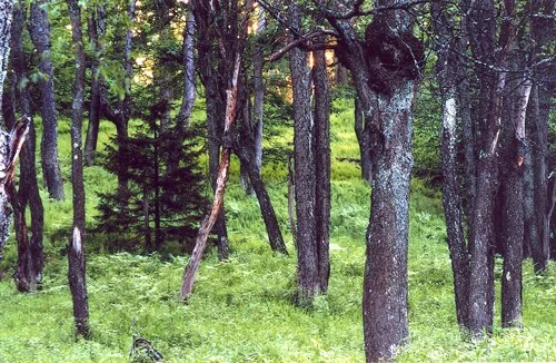 Karla Brieant, photographer