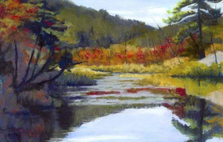 Diane E. Leifheit - Point of View Studio