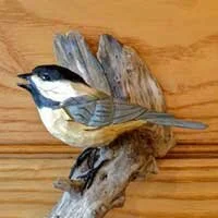 mark paul, woodcarving