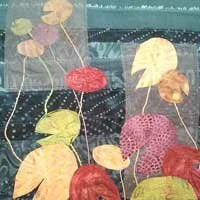 cris winters, niche studio